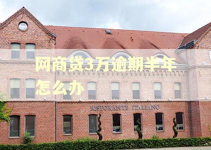网商贷3万逾期半年怎么办