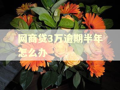 网商贷3万逾期半年怎么办