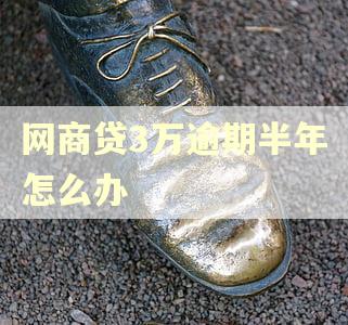 网商贷3万逾期半年怎么办