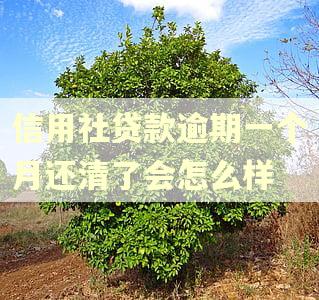 信用社贷款逾期一个月还清了会怎么样