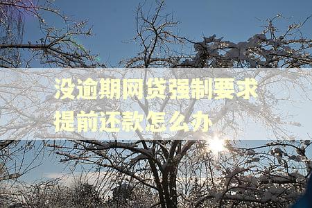 没逾期网贷强制要求提前还款怎么办
