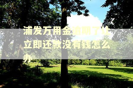浦发万用金逾期了让立即还款没有钱怎么办