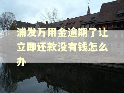 浦发万用金逾期了让立即还款没有钱怎么办