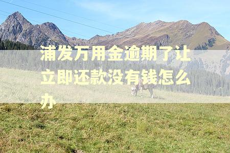 浦发万用金逾期了让立即还款没有钱怎么办