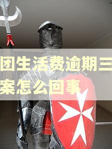 美团生活费逾期三天备案怎么回事