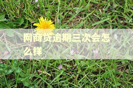网商贷逾期三次会怎么样