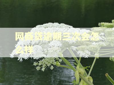 网商贷逾期三次会怎么样