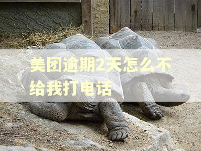 美团逾期2天怎么不给我打电话