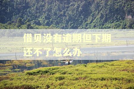 借贝没有逾期但下期还不了怎么办
