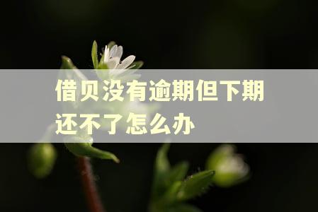 借贝没有逾期但下期还不了怎么办