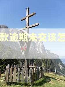 税款逾期未交该怎么办