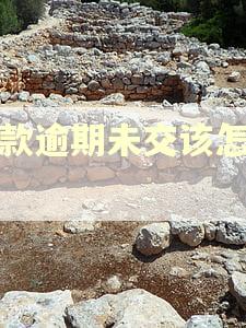 税款逾期未交该怎么办