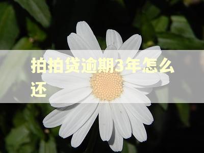 拍拍贷逾期3年怎么还 拍拍贷逾期3年怎么还