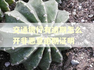 交通银行有逾期怎么开非恶意逾期证明