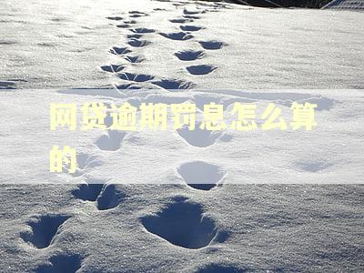 网贷逾期罚息怎么算的