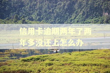 信用卡逾期两年了两年多没还上怎么办