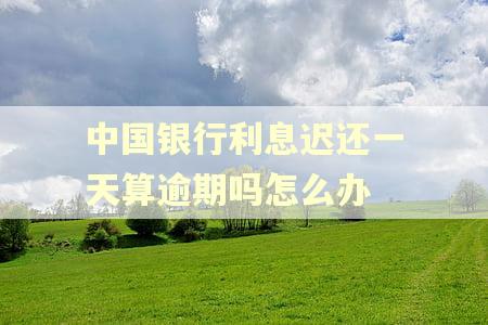 中国银行利息迟还一天算逾期吗怎么办