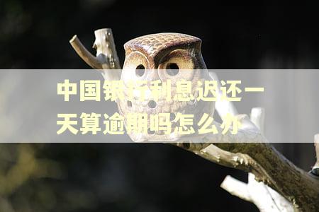 中国银行利息迟还一天算逾期吗怎么办 中国银行利息迟还一天算逾期吗怎么办
