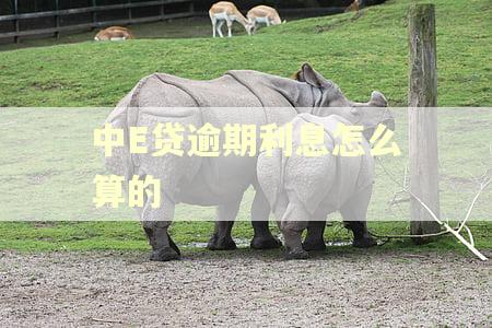 中E贷逾期利息怎么算的