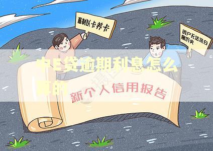 中E贷逾期利息怎么算的 中E贷逾期利息怎么算的
