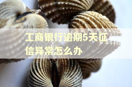 工商银行逾期5天征信异常怎么办