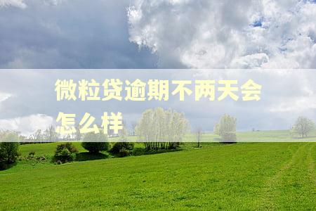 微粒贷逾期不两天会怎么样