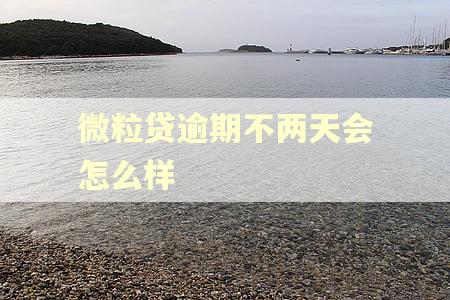 微粒贷逾期不两天会怎么样