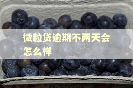 微粒贷逾期不两天会怎么样