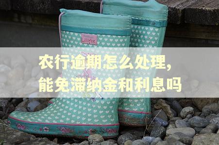 农行逾期怎么处理,能免滞纳金和利息吗