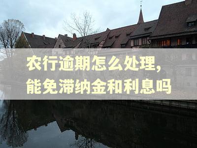 农行逾期怎么处理,能免滞纳金和利息吗