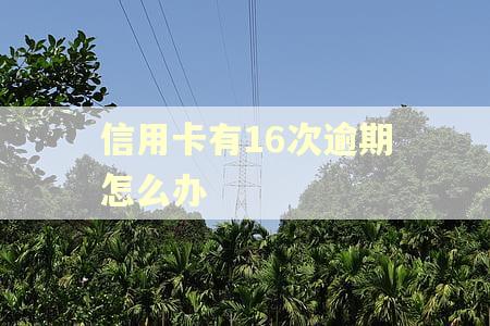 信用卡有16次逾期怎么办