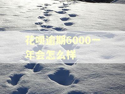 花呗逾期6000一年会怎么样