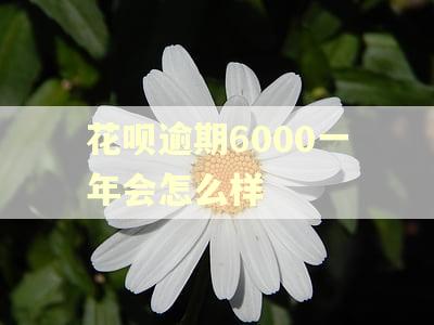花呗逾期6000一年会怎么样