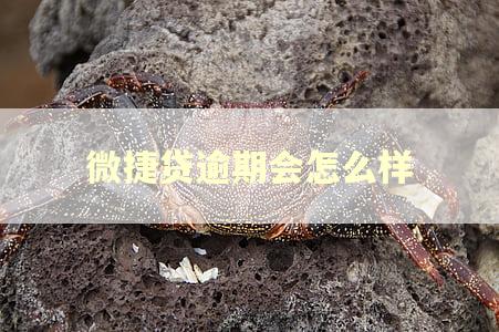 微捷贷逾期会怎么样