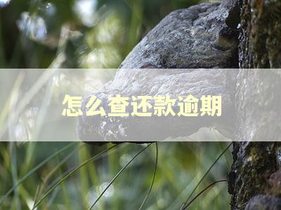 怎么查还款逾期
