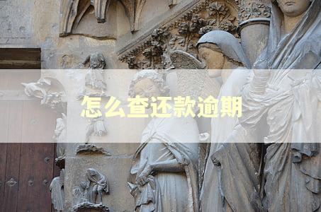 怎么查还款逾期
