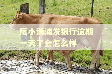 度小满浦发银行逾期一天了会怎么样