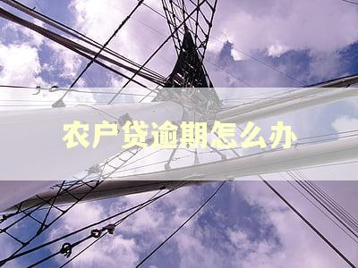 农户贷逾期怎么办