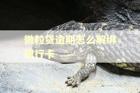 微粒贷逾期怎么解绑银行卡