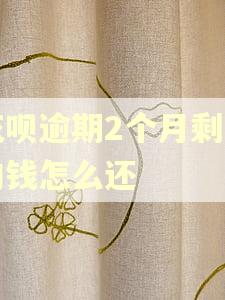 花呗逾期2个月剩下的钱怎么还