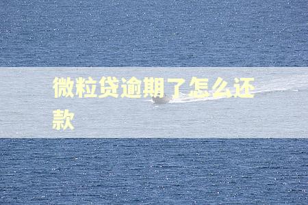 微粒贷逾期了怎么还款