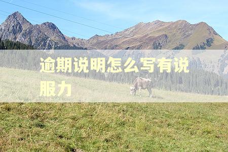 逾期说明怎么写有说服力