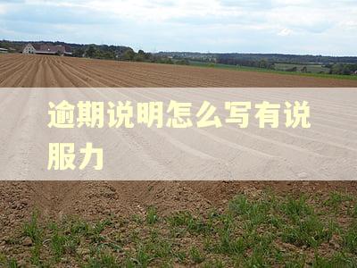 逾期说明怎么写有说服力