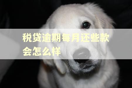 税贷逾期每月还些款会怎么样