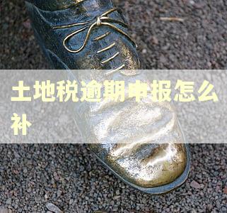 土地税逾期申报怎么补
