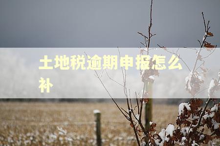 土地税逾期申报怎么补