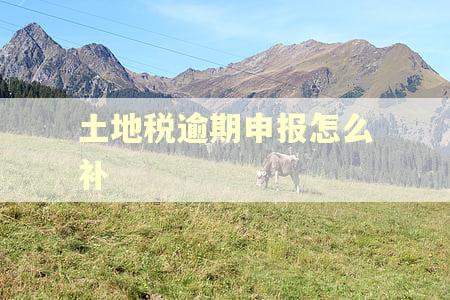 土地税逾期申报怎么补