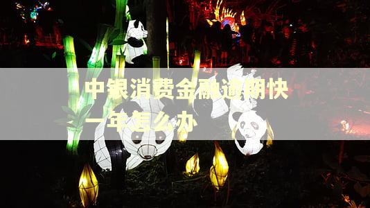 中银消费金融逾期快一年怎么办