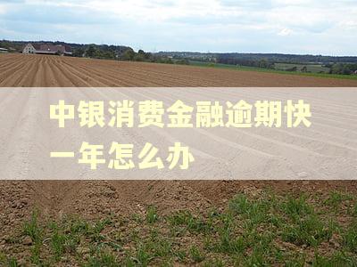 中银消费金融逾期快一年怎么办
