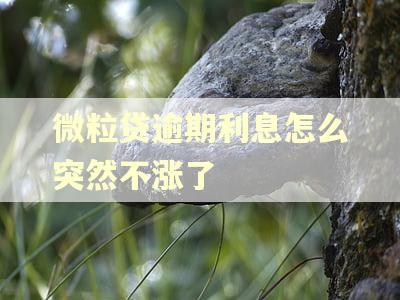 微粒贷逾期利息怎么突然不涨了